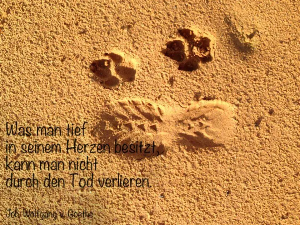 Andachtsbild von Nicole & Christoph mit Paula und Paulo und Finley