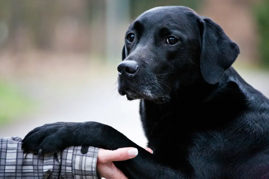 Andachtsbild von Nicole