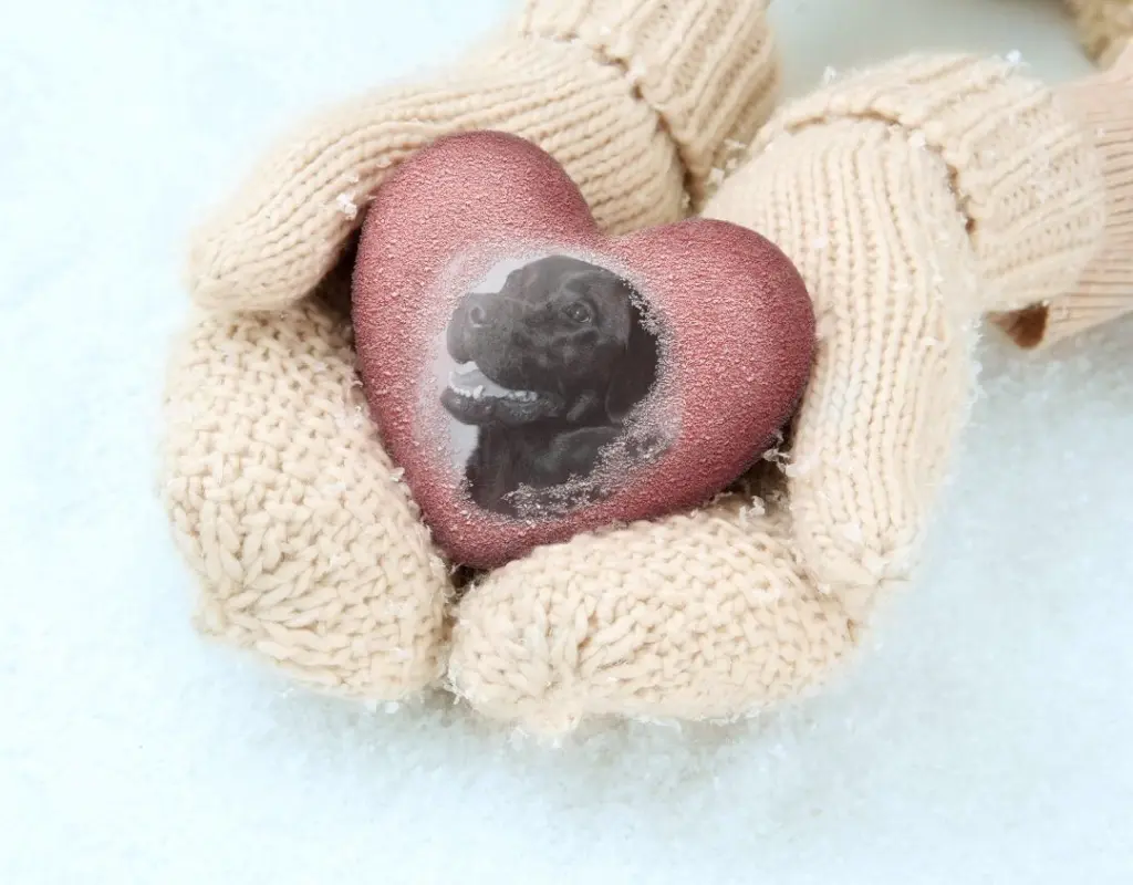 Andachtsbild von Nicole & Christoph mit Paula und Finley und Paulo & Christoph mit Paula und Finley und Paulo