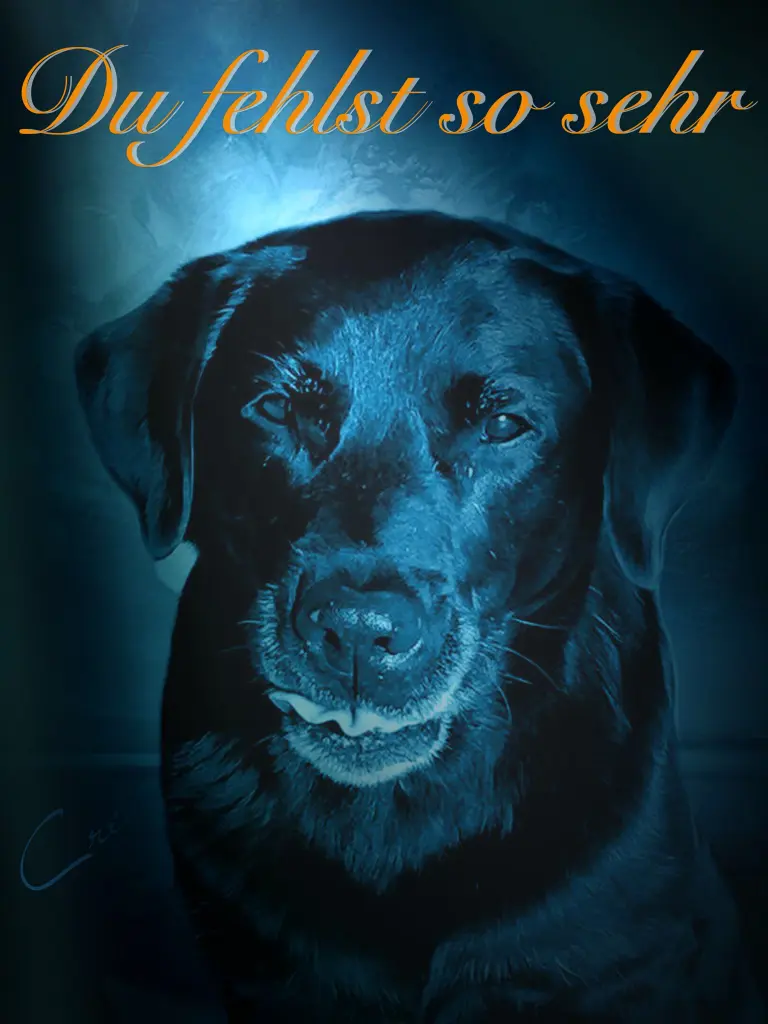 Andachtsbild von Nicole & Christoph mit Paula und Finley und Paulo