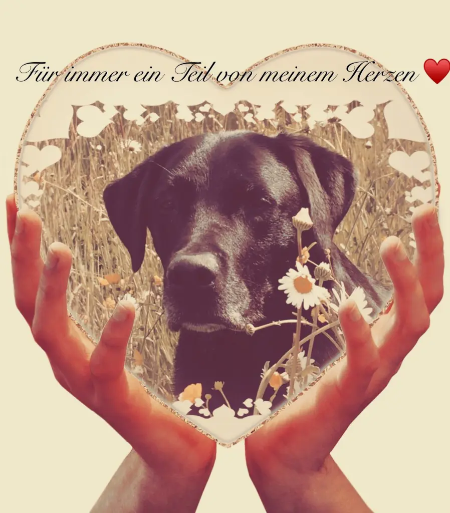 Andachtsbild von Nicole & Christoph mit Paula und Finley