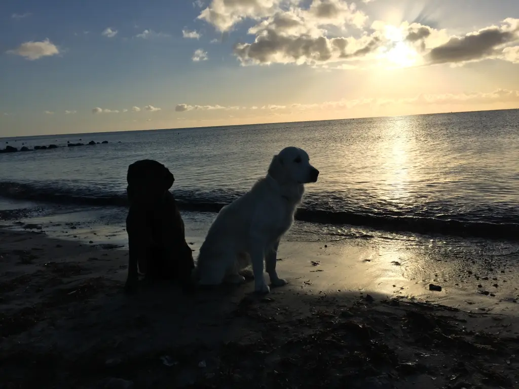 Andachtsbild von Nicole & Christoph mit Paula und Finley