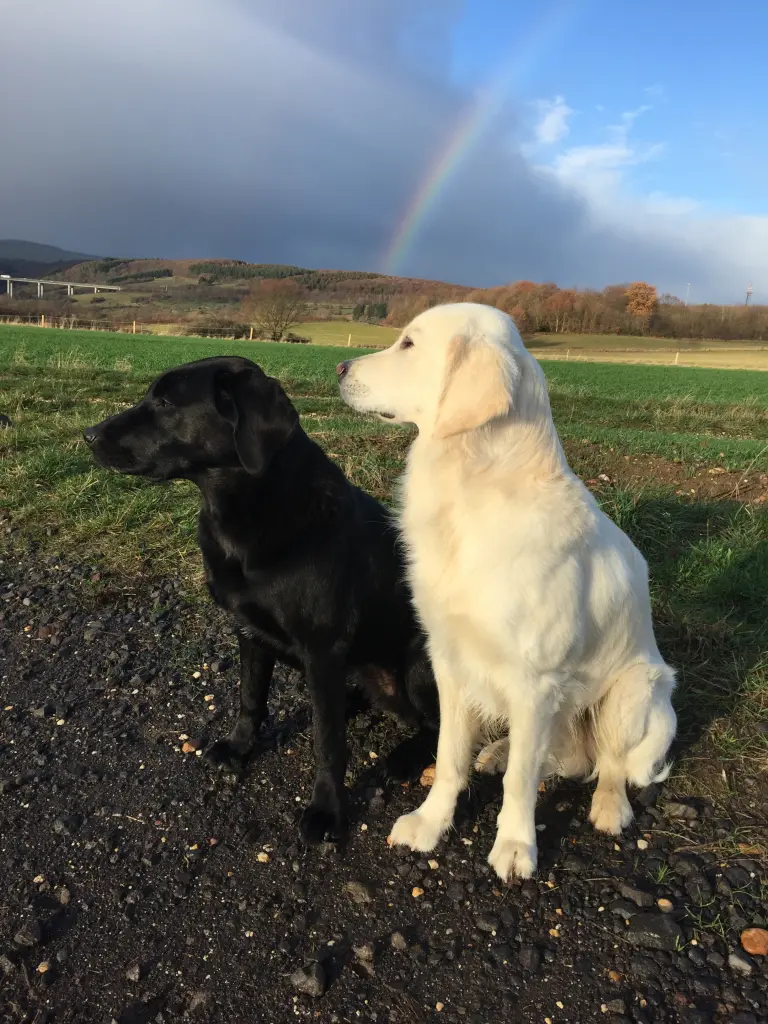 Andachtsbild von Nicole & Christoph 