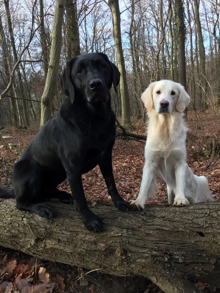 Andachtsbild von Nicole & Christoph 