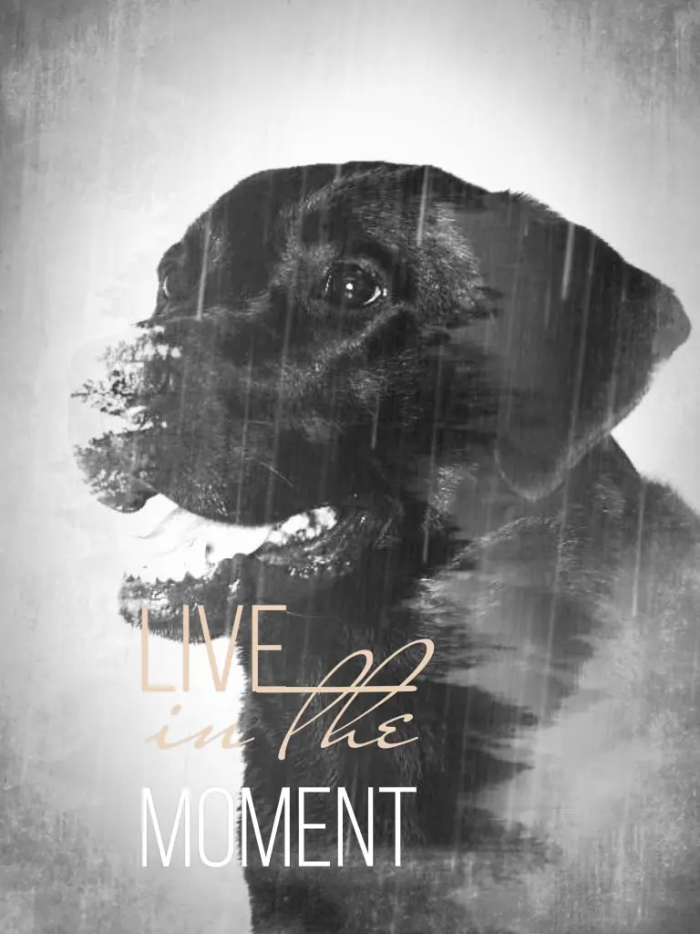 Andachtsbild von Nicole & Christoph 