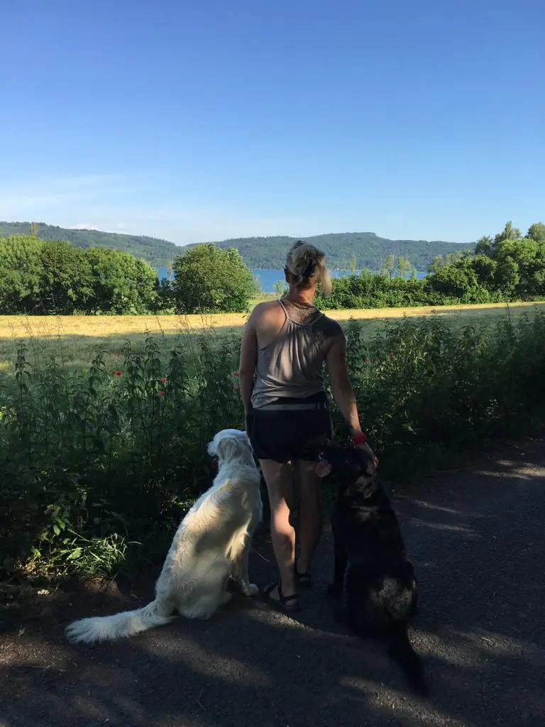 Andachtsbild von Nicole & Christoph mit Paula & Finley & Paulo