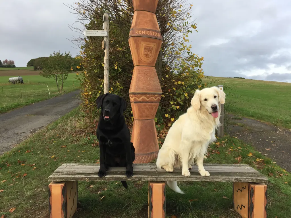 Andachtsbild von Nicole, Christoph mit Paula, Finley & Paulo
