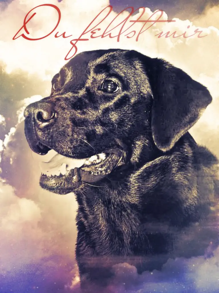 Andachtsbild von Nicole und Christoph