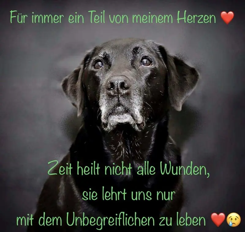 Andachtsbild von Nicole & Christoph mit Paula & Finley 