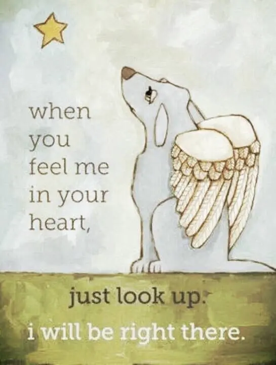 Andachtsbild von Nicole