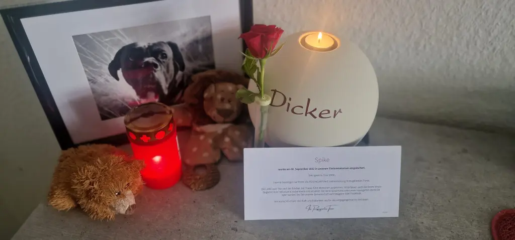 Image from Spike