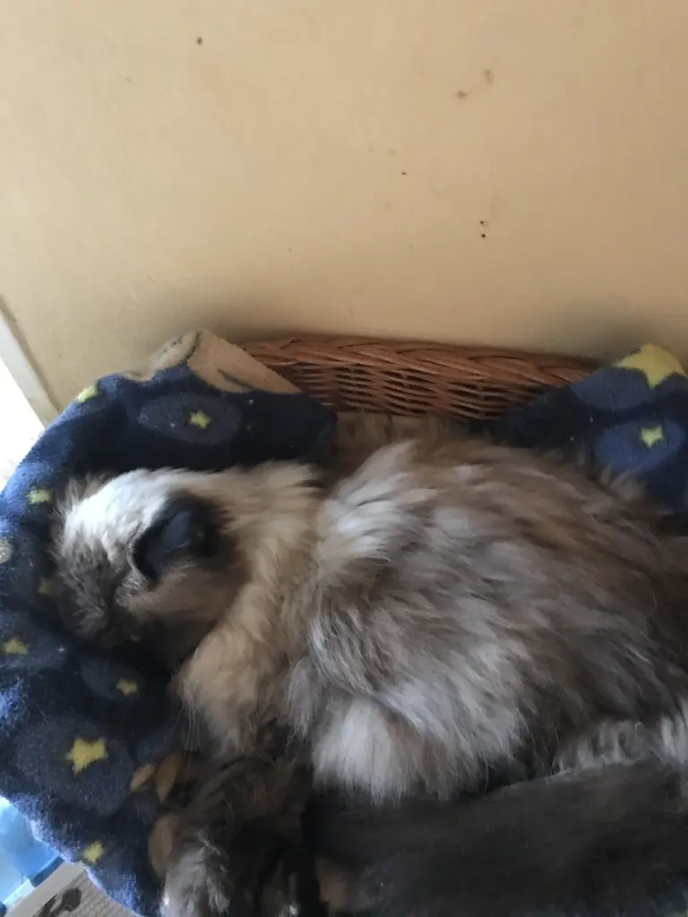 Image from Cleo