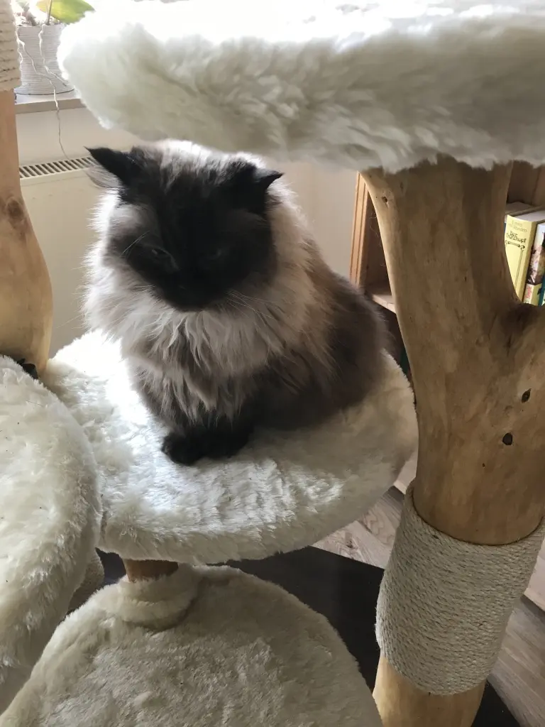 Image from Cleo