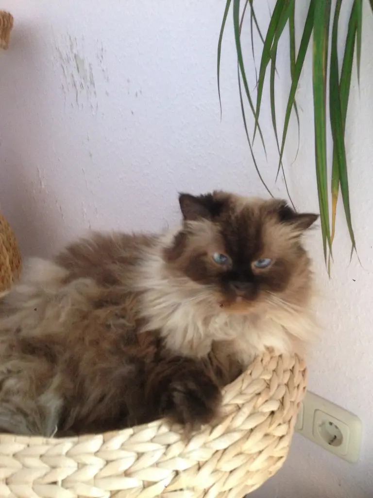 Image from Cleo