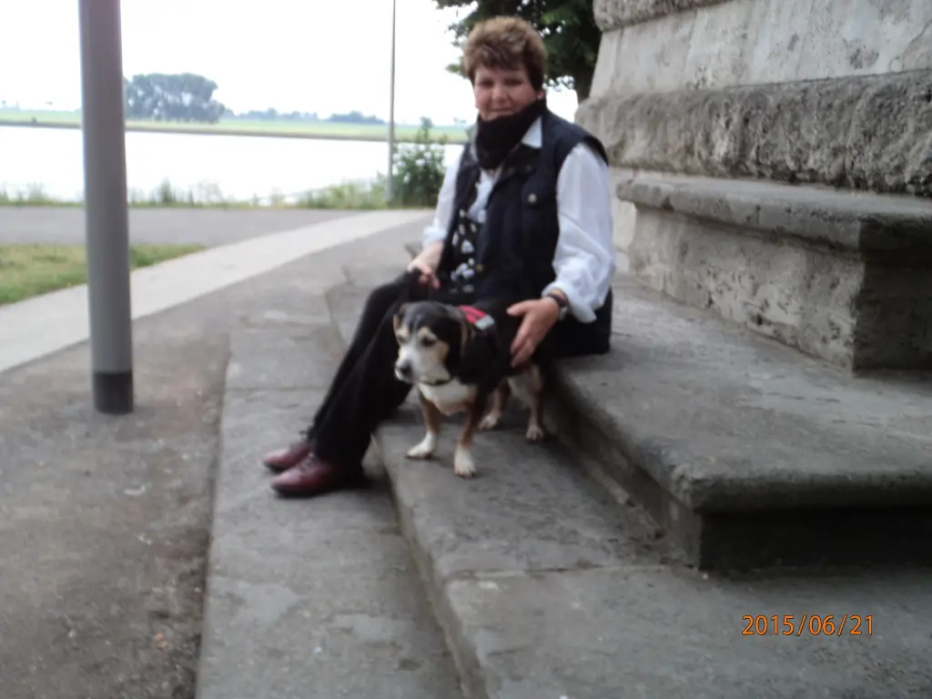 Image from Tongo