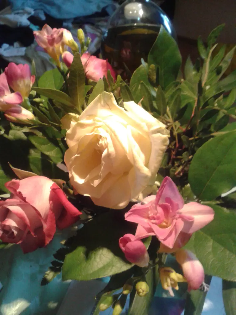 Condolence image of Elke