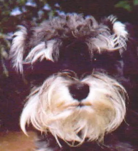 Image from Penny