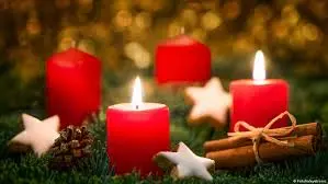 Condolence image of Biene❤