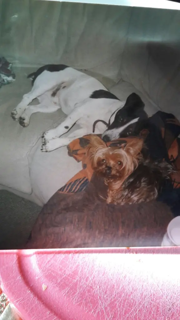 Condolence image of Angela 