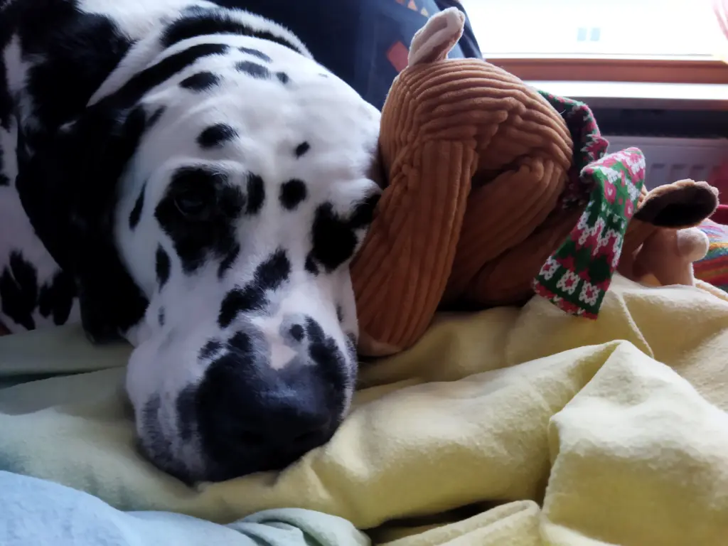 Andachtsbild von Uta