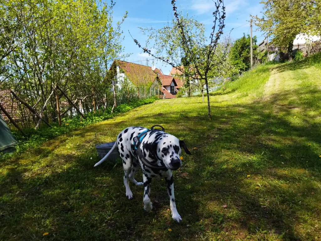 Andachtsbild von Uta