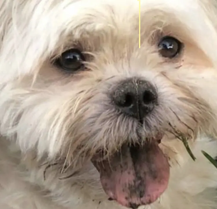 Andachtsbild von Anja Baum