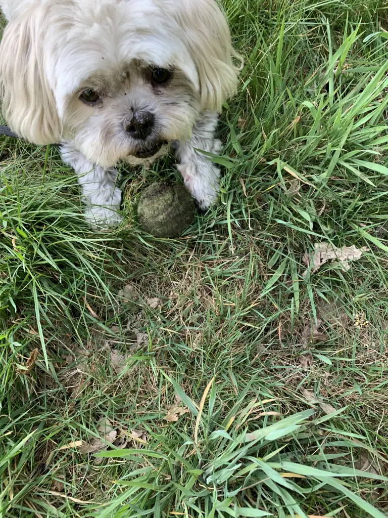 Andachtsbild von Anja Baum