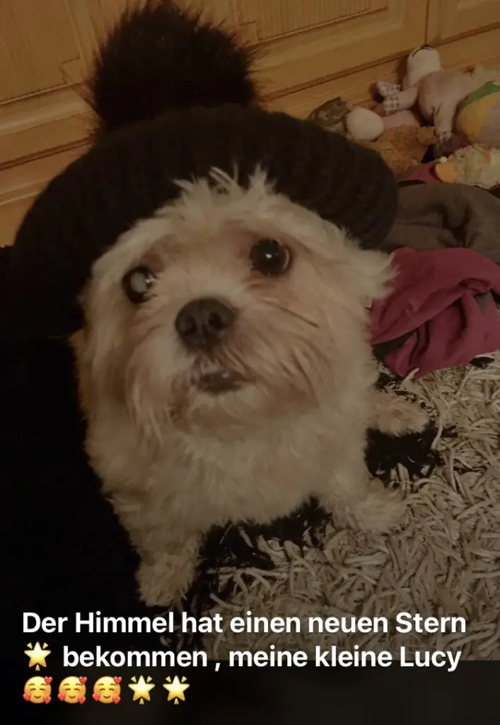 Andachtsbild von Anja