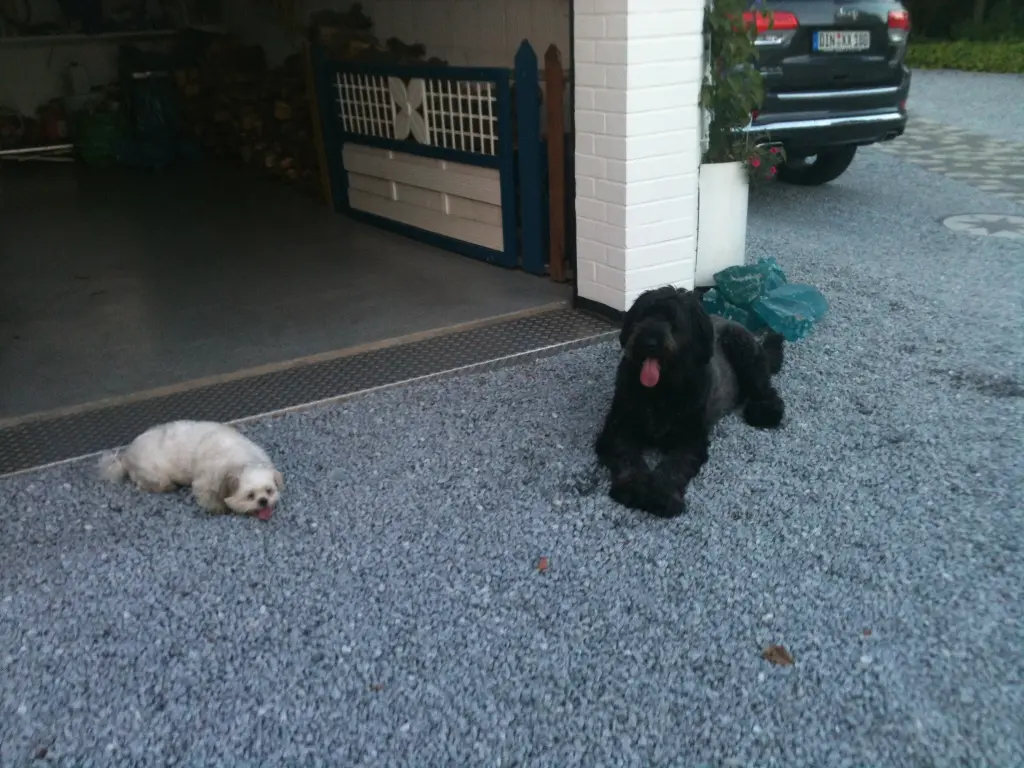 Andachtsbild von Anja