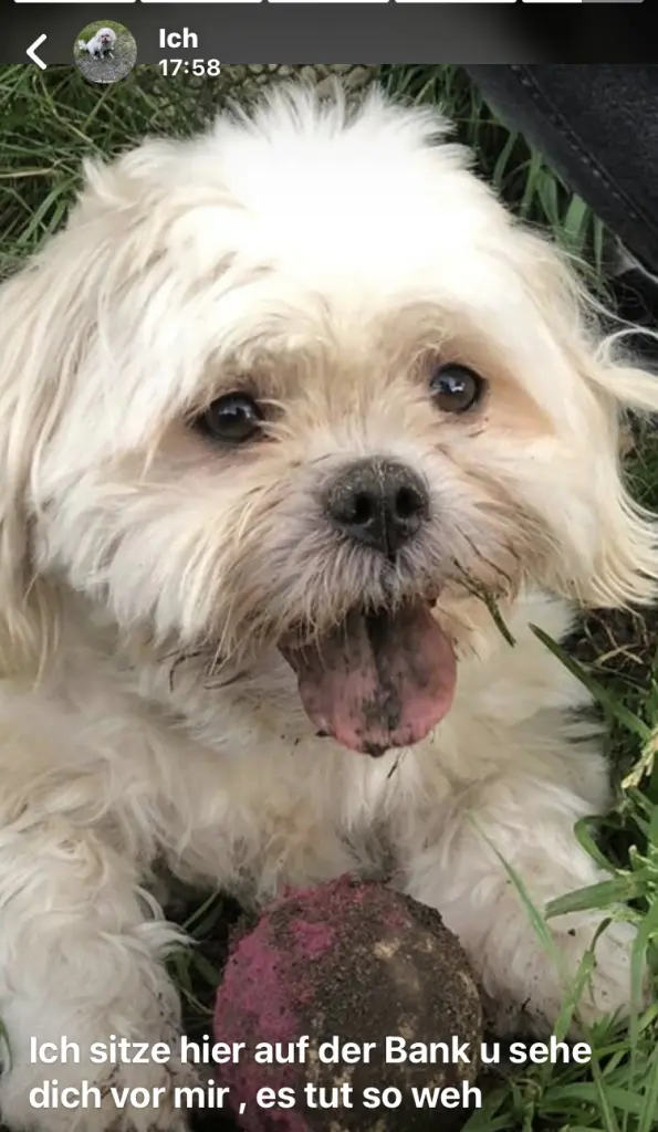 Andachtsbild von Anja