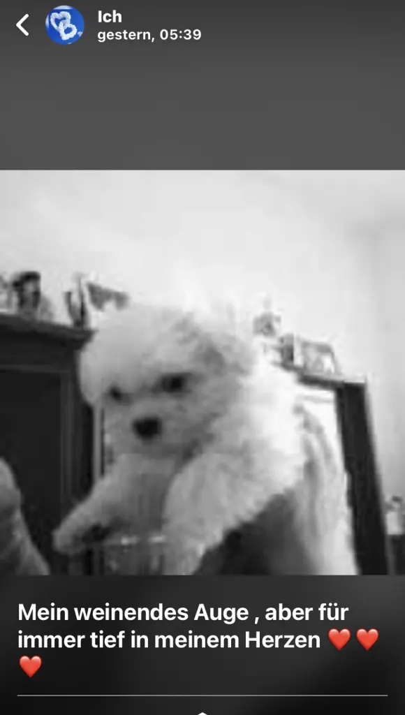 Andachtsbild von Anja