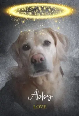 Image from Abby