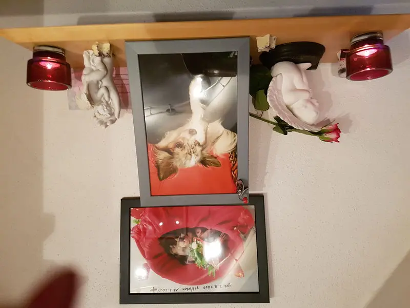 Image from Lady