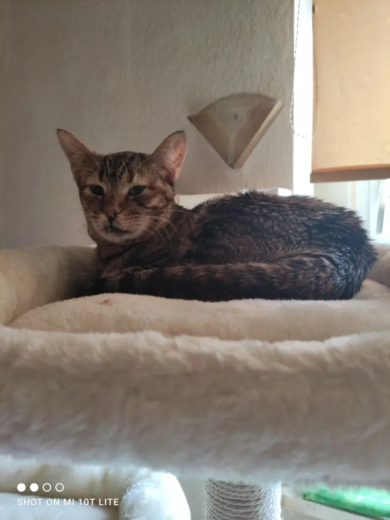 Condolence image of Sabine