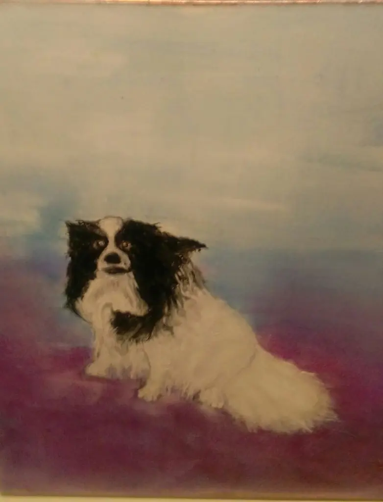 Condolence image of Elena Etzel