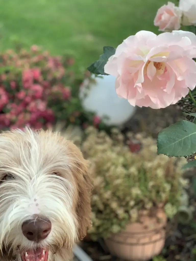 Condolence image of Lucie 