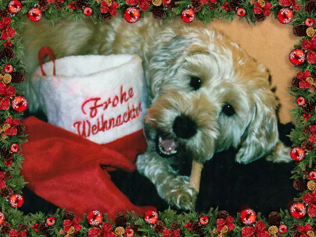 Condolence image of kleine Mama