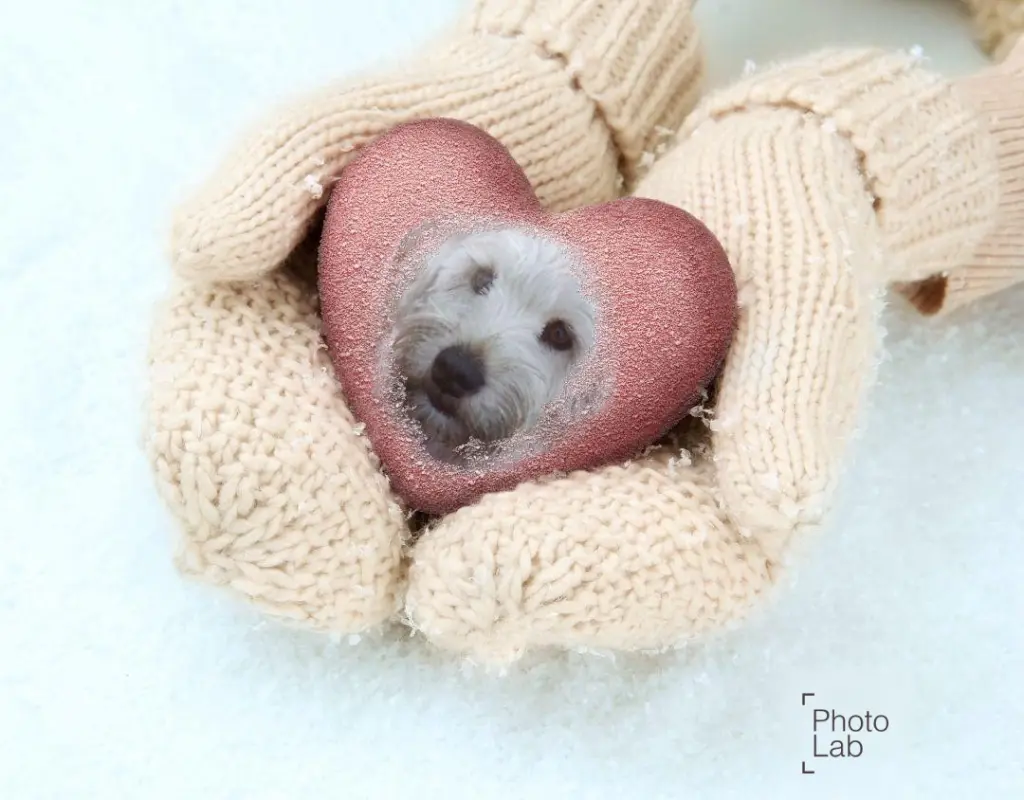 Condolence image of Grosse Mama