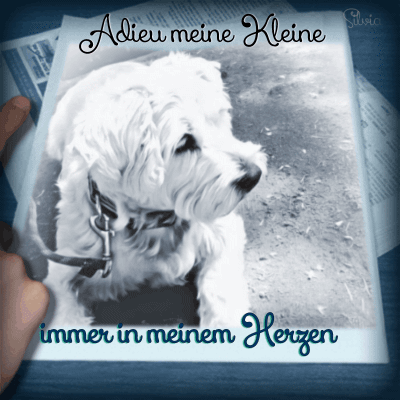Condolence image of Grosse Mama