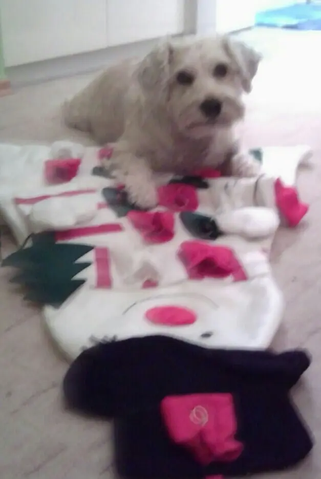 Condolence image of Christine