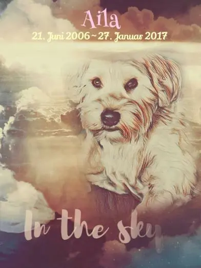 Condolence image of Aline 