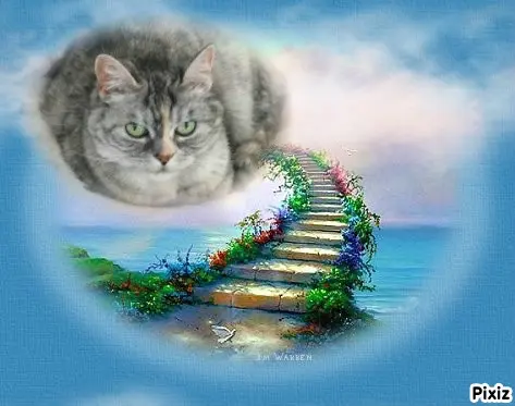 Andachtsbild von Tanja mit Timmy im Herzen 