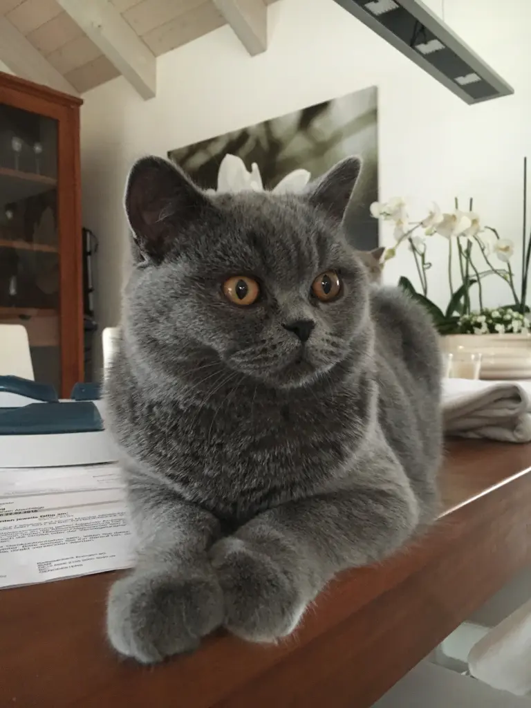 Andachtsbild von An Mia und Mama Sillke