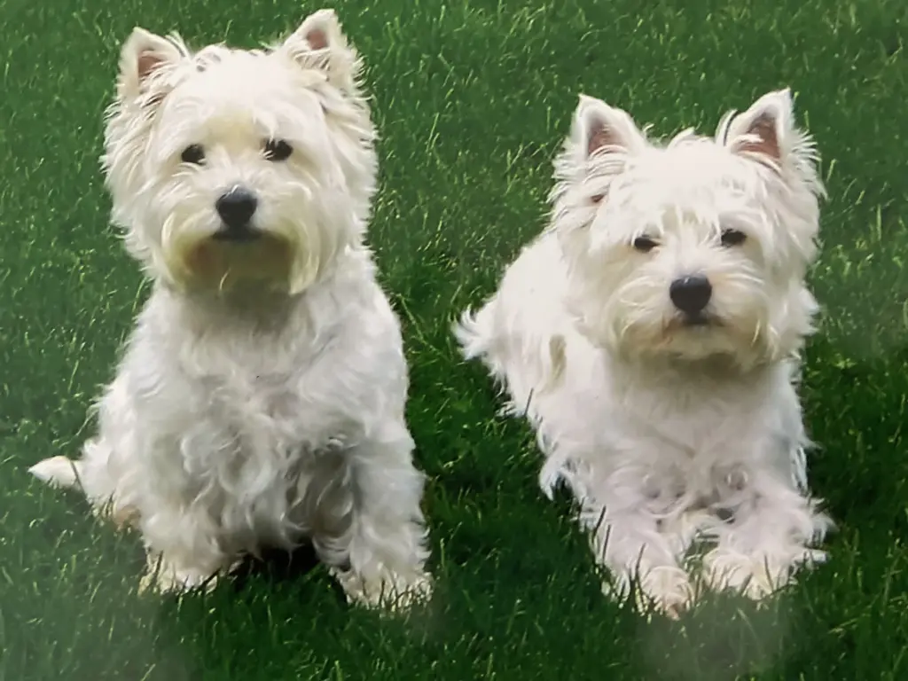 Andachtsbild von Sigrid 