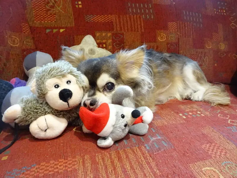 Andachtsbild von Für Silke und Mia