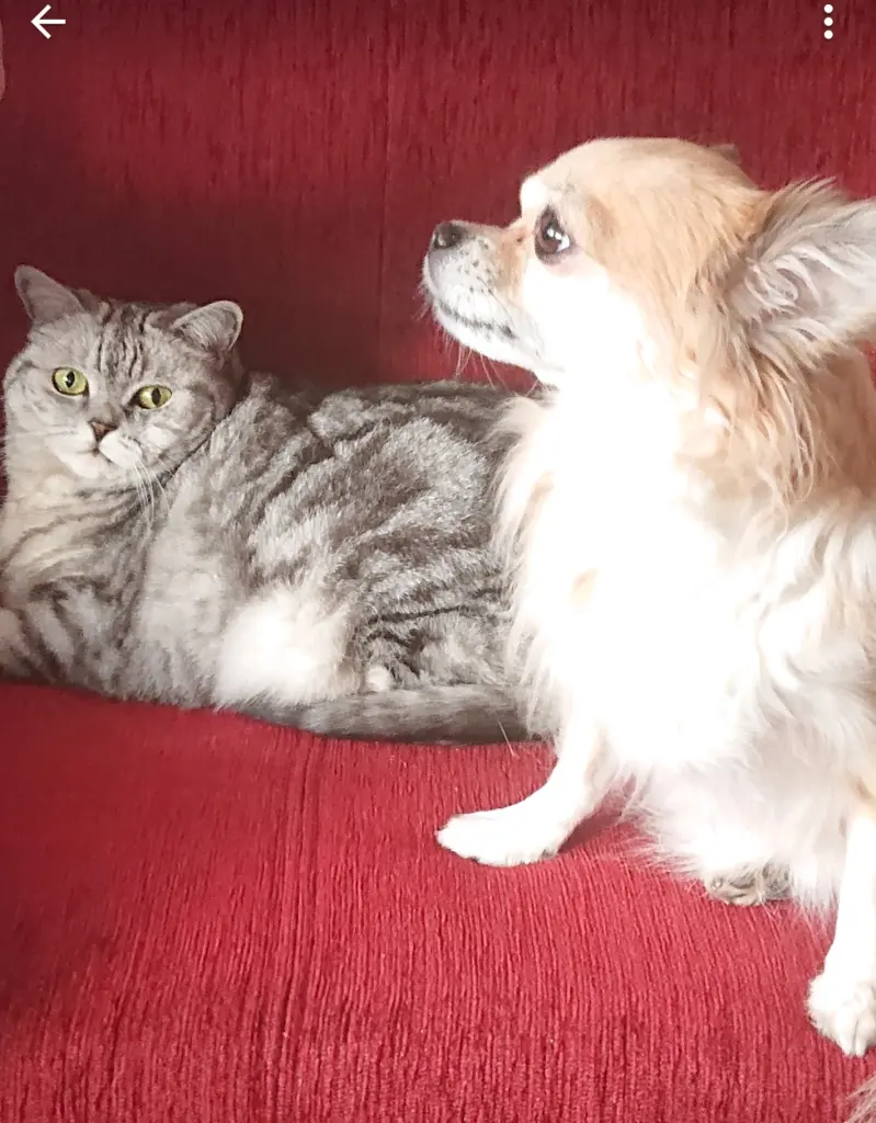 Andachtsbild von Für Silke und Mia