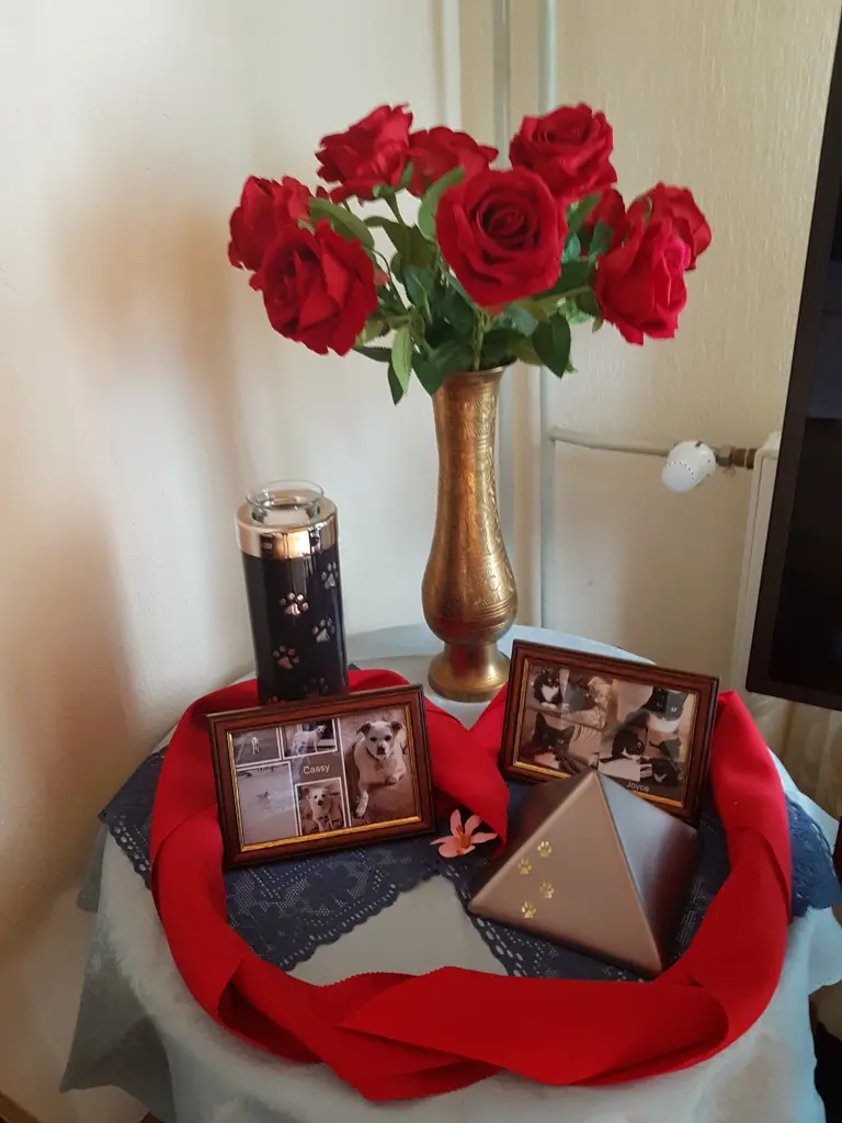 Andachtsbild von Silke mit Seelenhund Cassy  und Katzendame Joyce tief im Herzen ❤