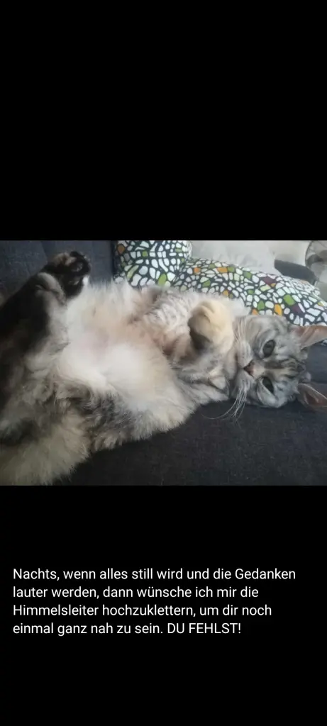 Andachtsbild von Für mein Baby 