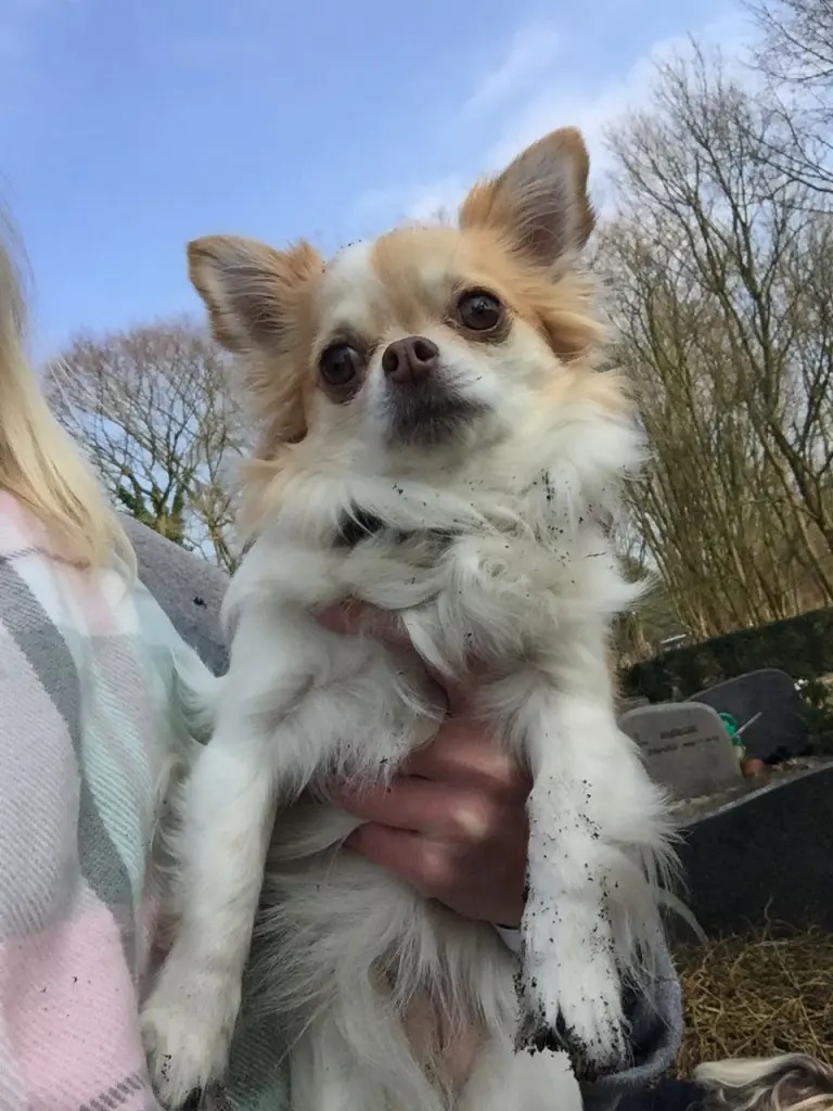 Andachtsbild von Für Silke 