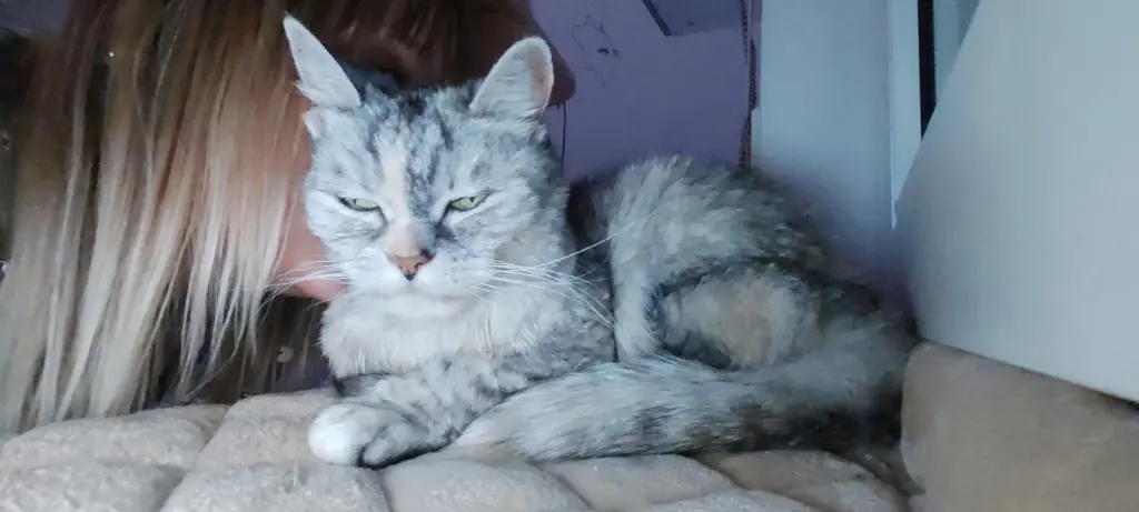 Andachtsbild von Silke mit Mia im Herzen♥️